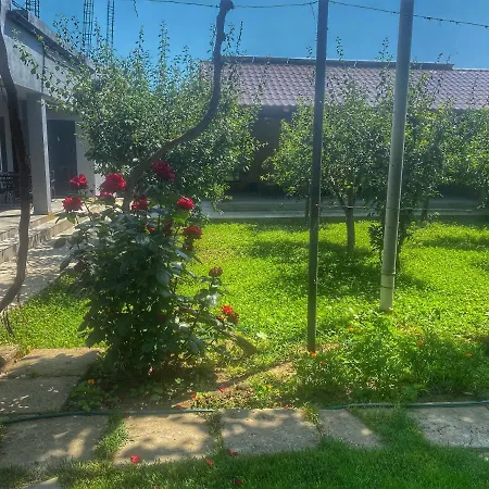 Gazde/Camere de închiriat Raven Comstar Corbu (Constanta)